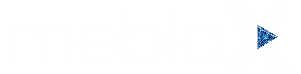 Meblax - Ön Muhasebe Programı